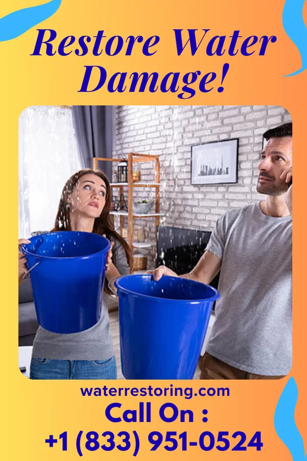water restoration Expert Water Restoration Brothers Lake City