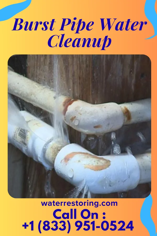 Burst Pipe Water Cleanup in Lake City, TX