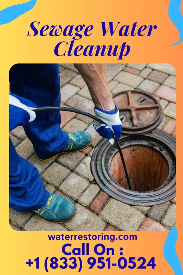 Sewage Water Cleanup in Lake City, TX